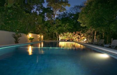 Huge Pool set in the Jungle