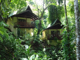 Private Jungle Bungalows!