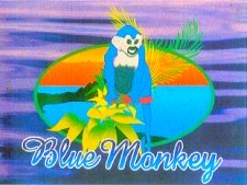 The Blue Monkey, Manuel Antonio, Costa Rica